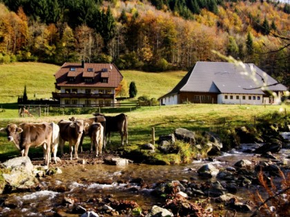 Foto: Zur Linde Napf